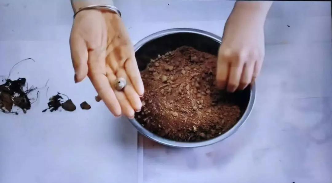 成年人的骄傲，在陪娃在线开课第一天变得不堪一击