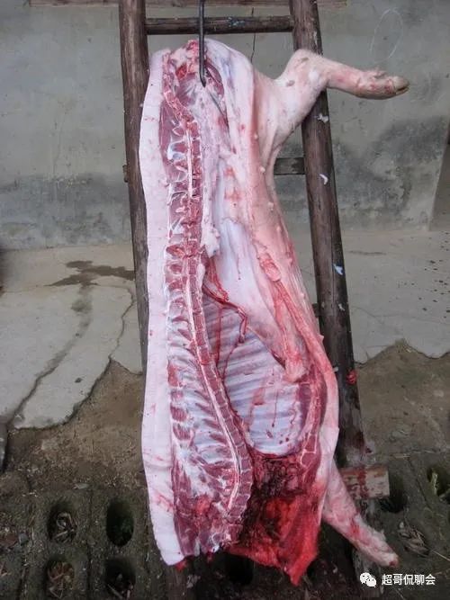 记录农村杀年猪的生活场景,记忆里的杀年猪是怎样的