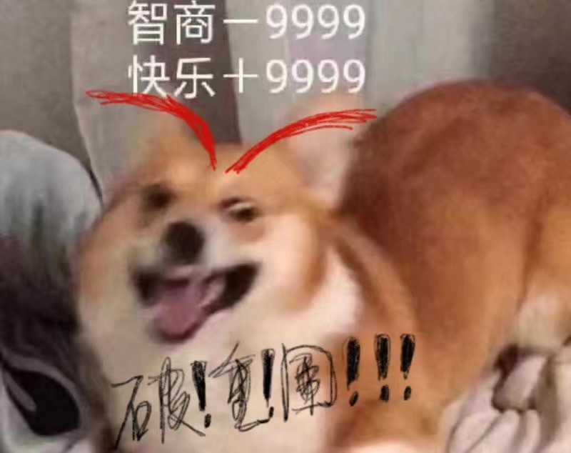 剑网3梯云纵技能,剑网三苍云吃鸡手法