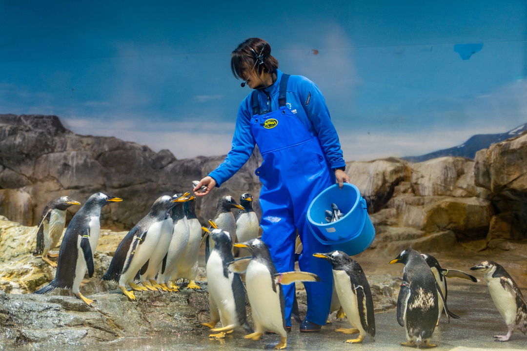 日本九州|一个被温泉唤醒的秘境，超超超小众的日本旅行目的地