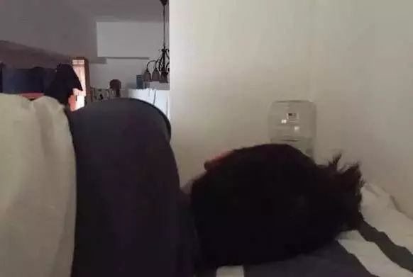 家里的狗为什么要嚎叫,为什么狗总想上床睡觉