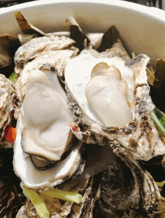 生蚝做法煮几分钟最佳,生蚝的煮法大全家常做法