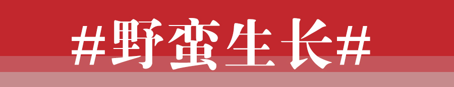 中国汽车蜕变,蜕变汽车