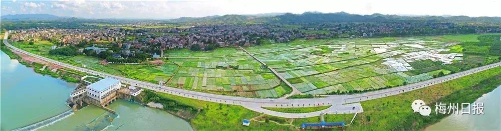 浜斿崕瓒崇悆涔嬩埂鍥剧墖,瓒崇悆涔嬩埂