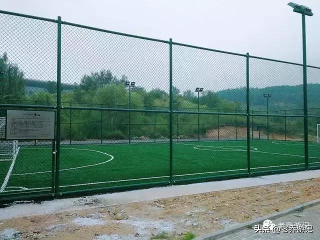 阳光有氧运动,阳光有氧跑步