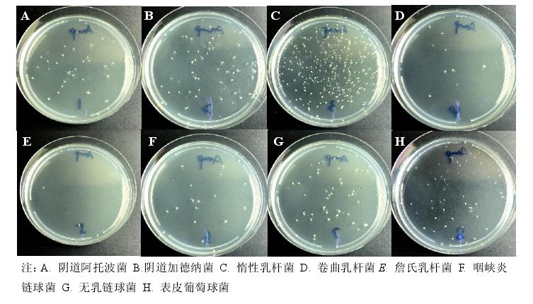给女票搓了一年内衣,我想明白一个事儿——专用洗衣液微横测
