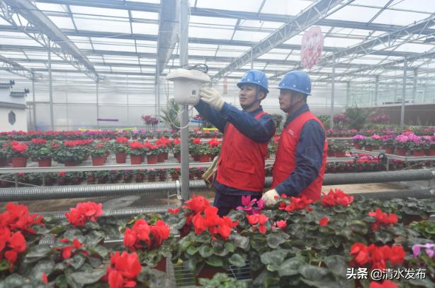 电力先行强力支撑地方经济发展,供电公司支持地方经济社会发展