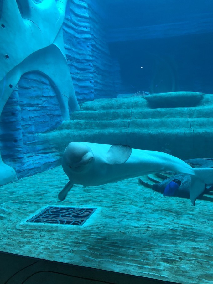 三亚自由行五天最佳攻略,三亚北纬十八度游攻略