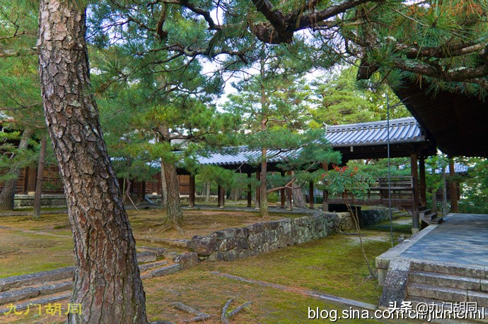 京都大德寺的庭院,织田信长墓地图片大全