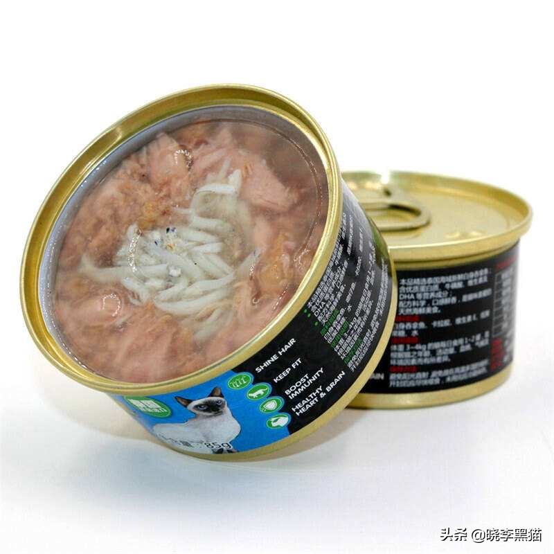 零食罐头猫咪能吃饱吗,零食罐头猫咪用不用