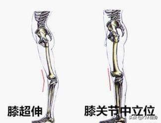 股四头肌：“我也不想这么凸出，谁让臀大肌和腘绳肌不争气呢！”