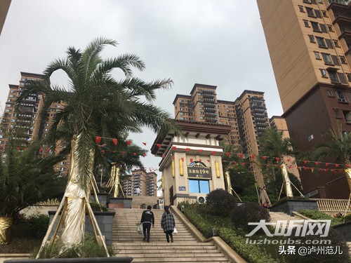 泸州违建房名单,泸州违建房清理