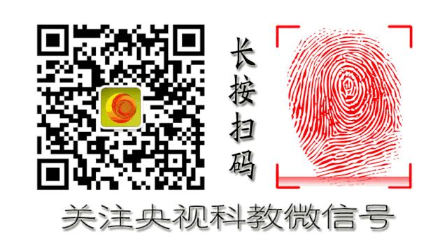 鱼泉洞穴,会冒鱼的山洞是什么