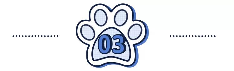 猫狗常用药品大全,猫狗必备药