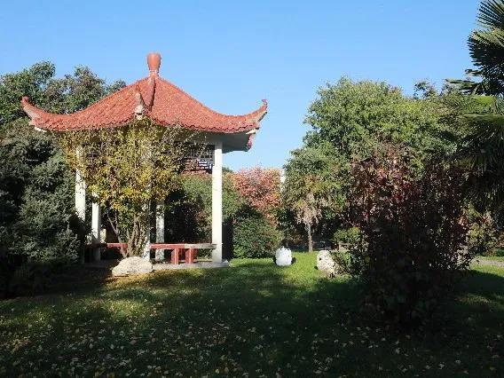 西安最豪华的大学图书馆,最豪华食堂大学