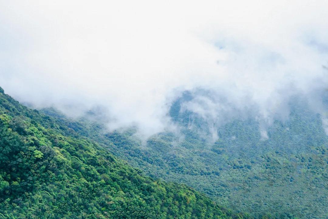 深圳值得去的地标,深圳值得去的景点排行榜