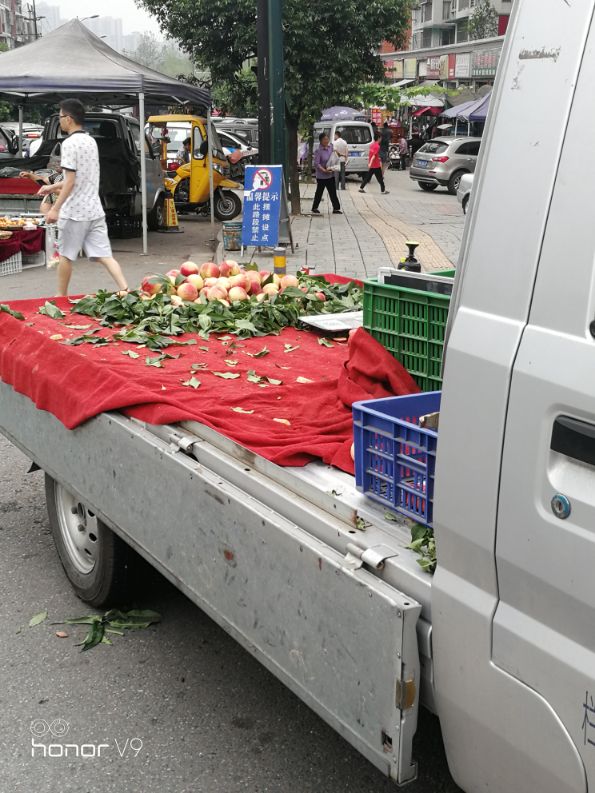 <html>
<head><title>502BadGateway</title></head>
<body>
<center><h1>502BadGateway</h1></center>
<hr><center>nginx</center>
</body>
</html>
<!--apaddingtodisableMSIEandChromefriendlyerrorpage-->
<!--apaddingtodisableMSIEandChromefriendlyerrorpage-->
<!--apaddingtodisableMSIEandChromefriendlyerrorpage-->
<!--apaddingtodisableMSIEandChromefriendlyerrorpage-->
<!--apaddingtodisableMSIEandChromefriendlyerrorpage-->
<!--apaddingtodisableMSIEandChromefriendlyerrorpage-->
