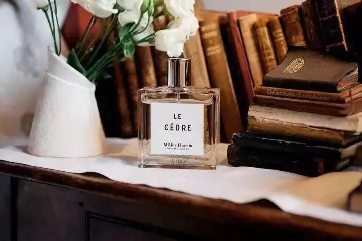 虽然首店概念快听烦了,但这25个首店品牌确实值得了解