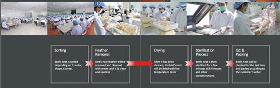 燕窝知识儿童篇,你不知道的营养知识