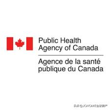 以儆效尤！两旅客拿假疫苗证明糊弄加拿大海关，一人罚2万刀