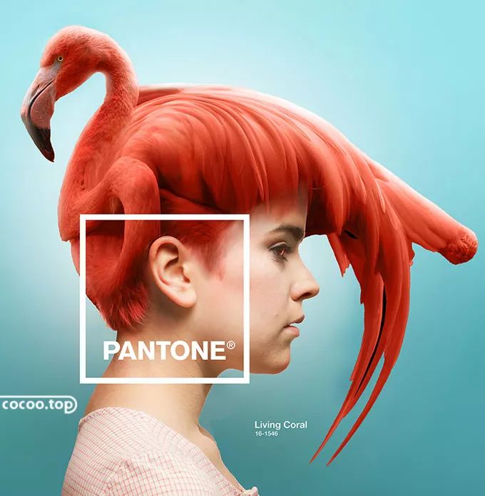 广告语更容易传播的标准,广告语怎么突出个别字