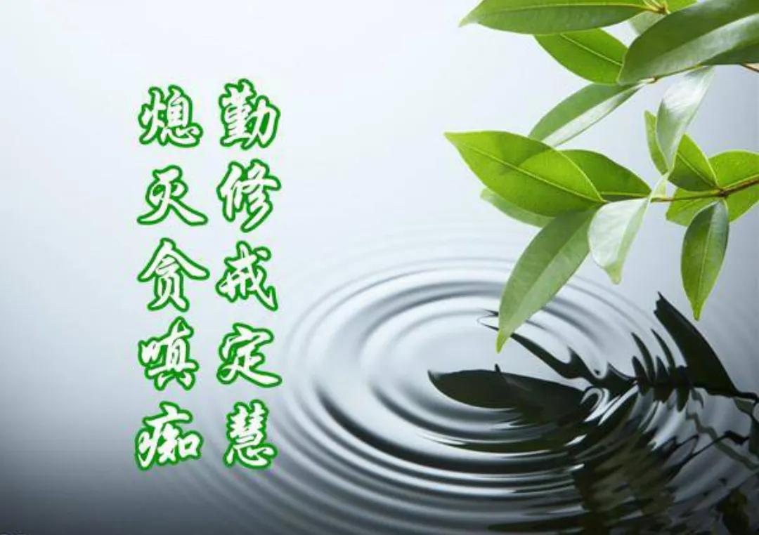 慢里乾坤大，快人多不知