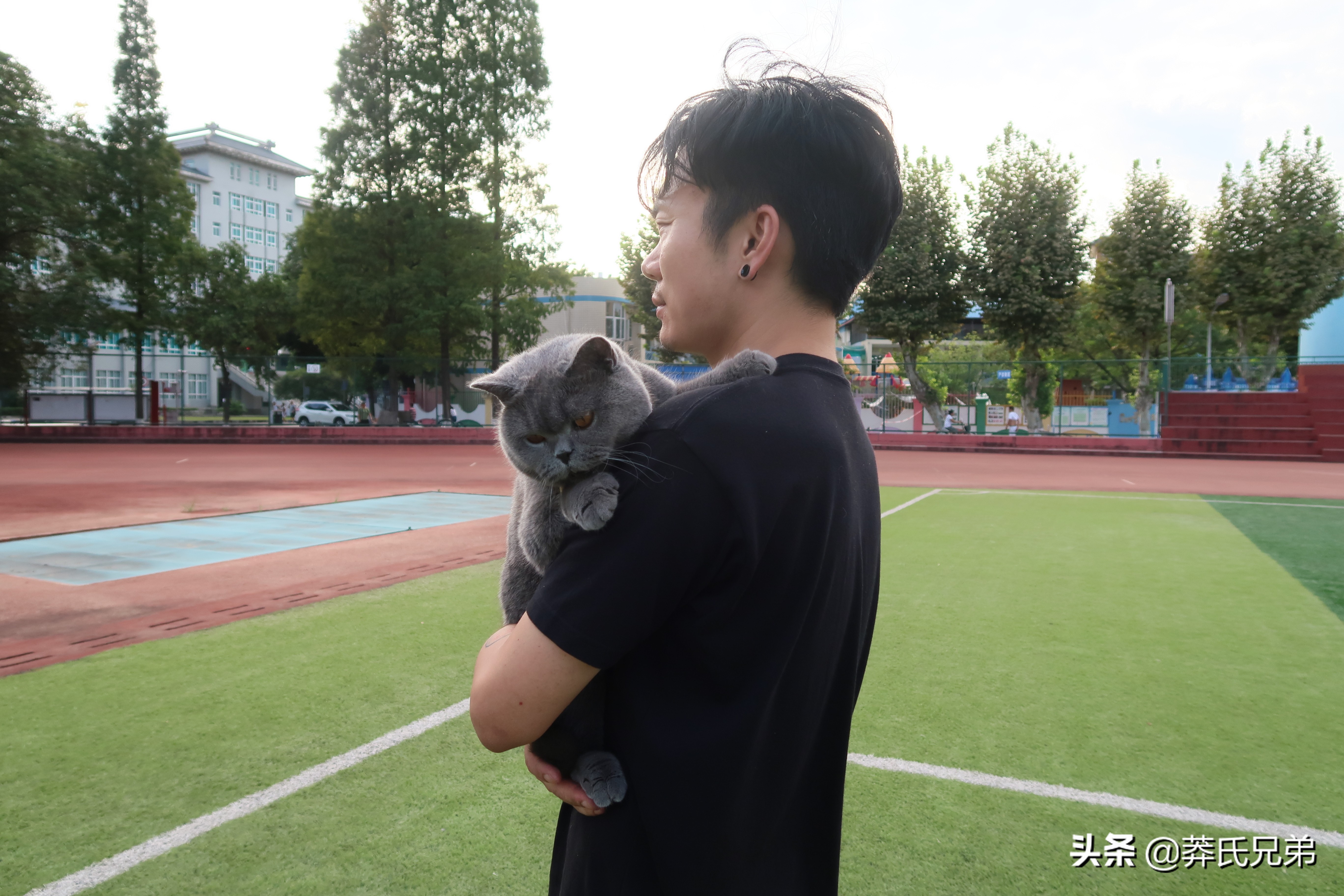 带猫去打篮球,带小猫咪去球场