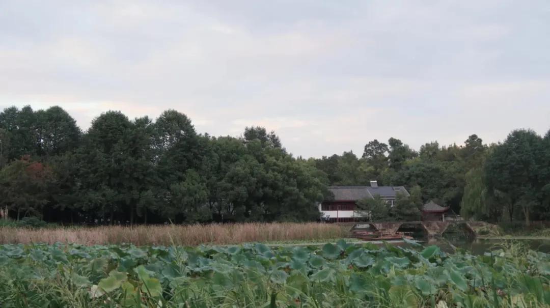 杭州西湖3天2晚自由行攻略,24小时杭州之旅