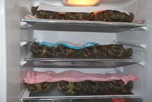大闸蟹托运可以保存几天,大闸蟹活的怎么保存最多能放几天