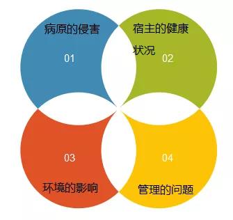 预防鱼病的新思路,预防鱼得病的方法