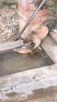 搞笑gif图妹子你这智商真是堪忧啊,搞笑gif妹子你这发型挺别致啊