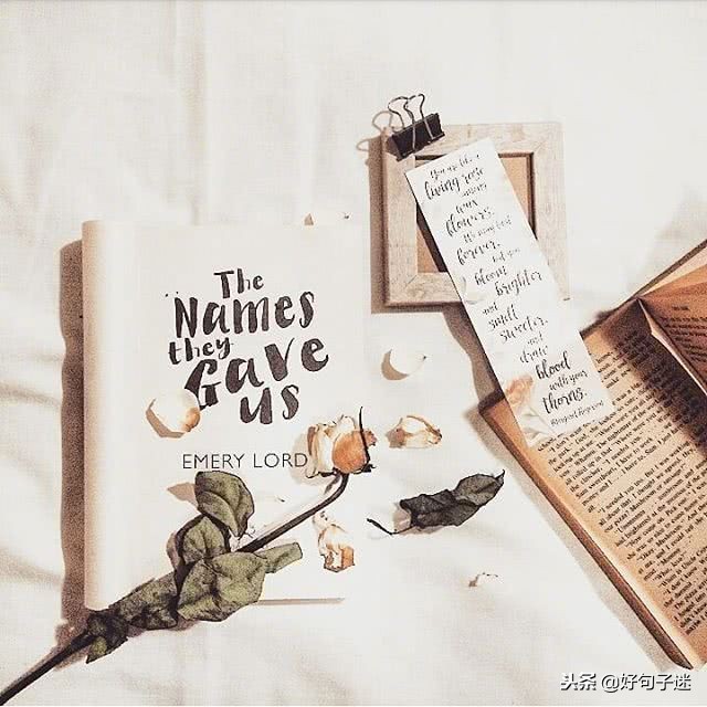 最新个性签名句句经典字字精辟,20句经典个性签名总有一句适合你