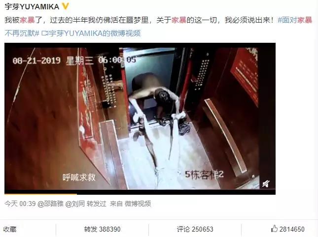 远离家暴更要远离挨打的原因,我从来不打女人用英语怎么说