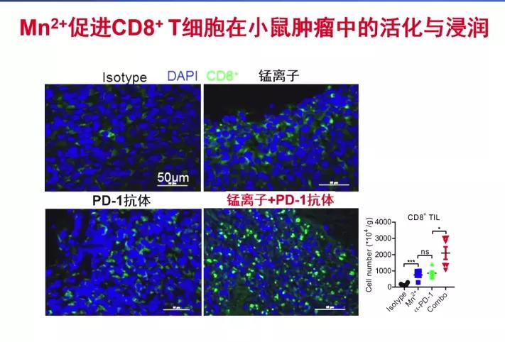 锰元素抗癌,锰元素能抗癌吗