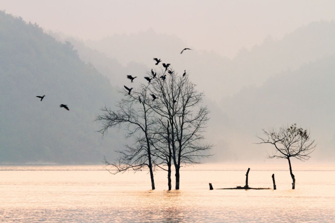 金华市著名网红,十大网红打卡圣地金华