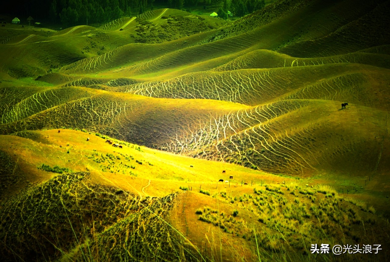 世界自然遗产地喀拉峻大草原,来新疆感受大自然的喀拉峻大草原