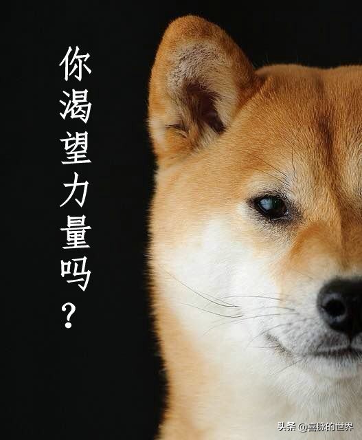 硬核人物里谈古论今,硬核杂谈史