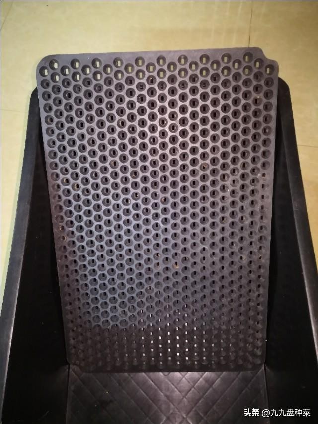 水培花生芽的销路,想学水培花生芽