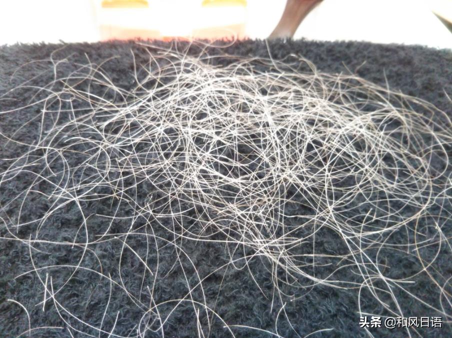 日本拔白头发的店,日本拔白头发神器正品货