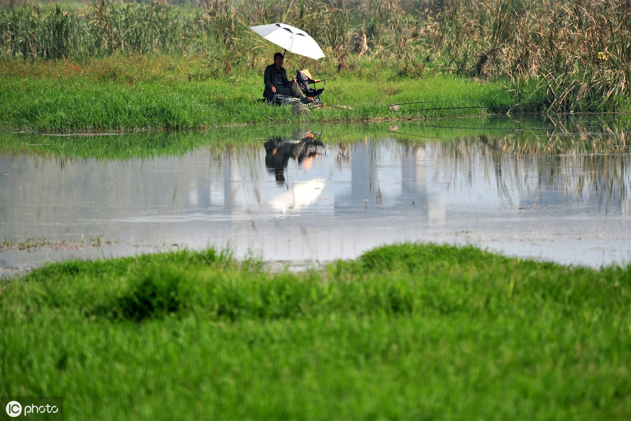 历年高考语文必考成语归纳总结,高考语文成语试题文字版含答案