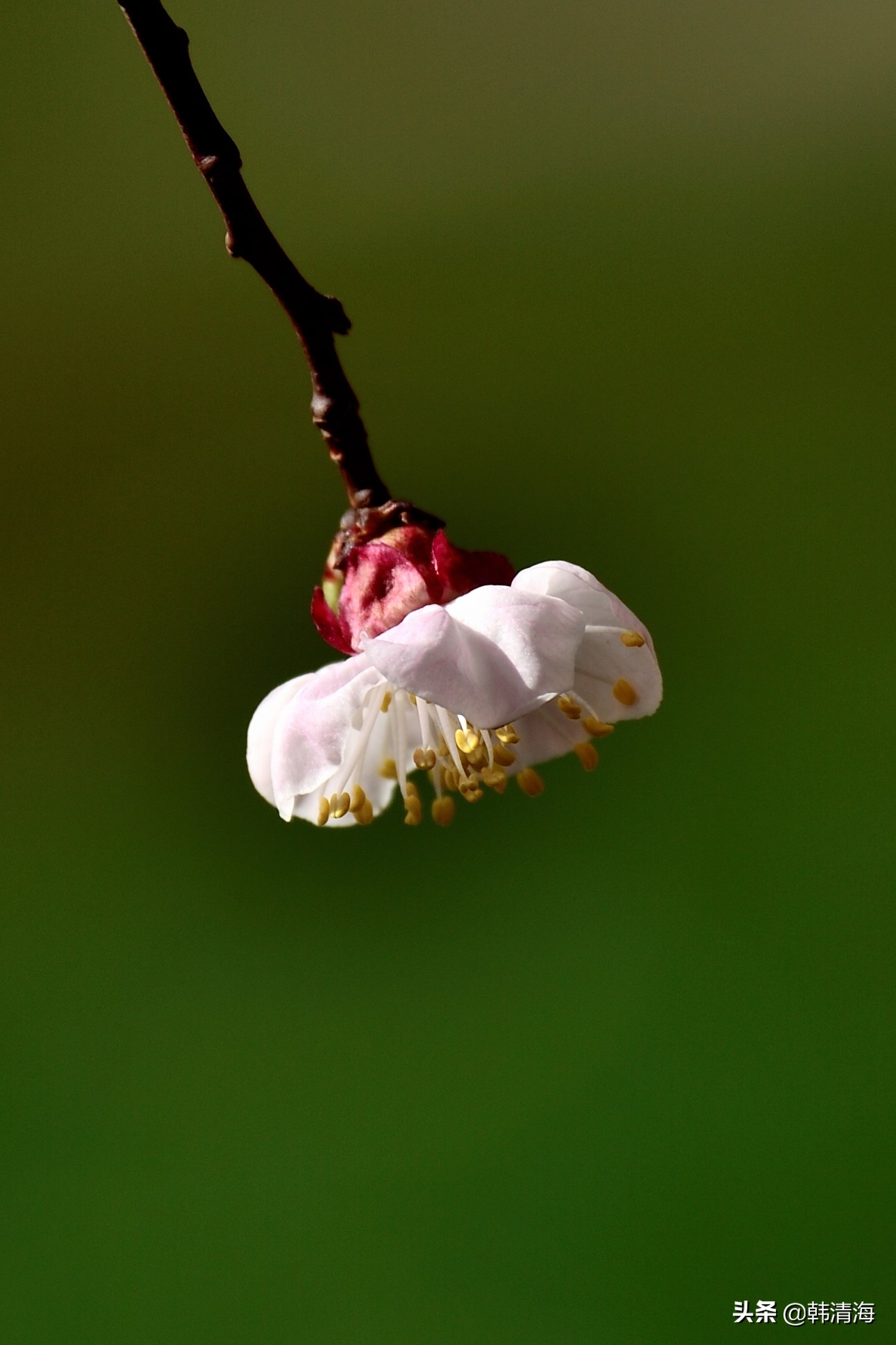 天津市南开区水畔花园简介,天津南开水畔花园洋房