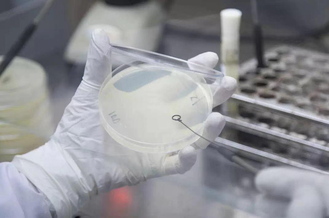 糖尿病尿路感染吃三金片可以吗,糖尿病尿频和尿路感染尿频区别