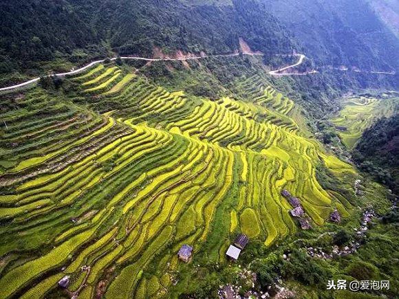 广东粤北最美公路,粤北最美的国道是哪条线