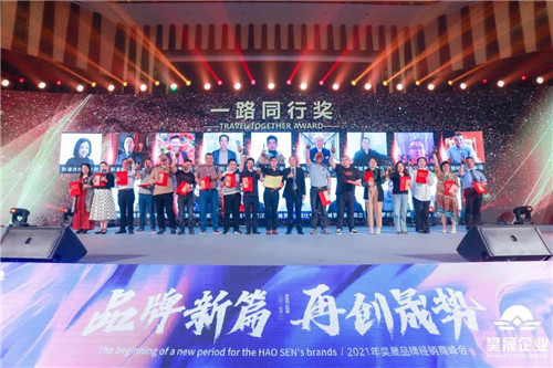 维罗生态砖整装,维罗生态砖品牌优势