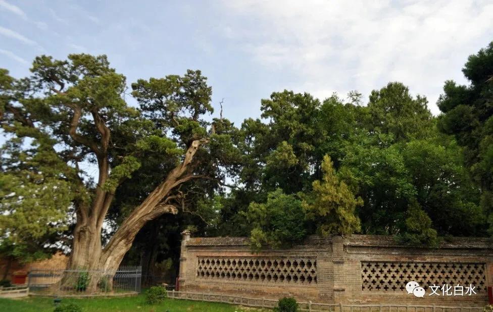五一来赤水,五一三门峡一日游最佳攻略