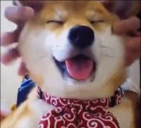 在百度工作年纪大了会失业吗,在百度工作经常出差好吗