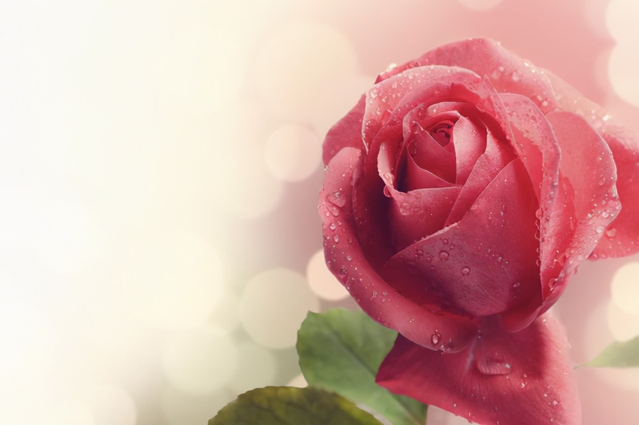 很想念一个人怎么给他发微信,如何给想念的人发微信