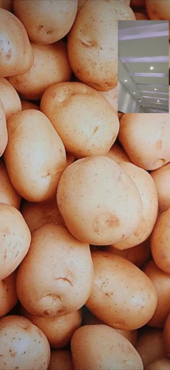 微信新功能8.0每天都要更新吗,微信更新到8.0版本后有哪些功能