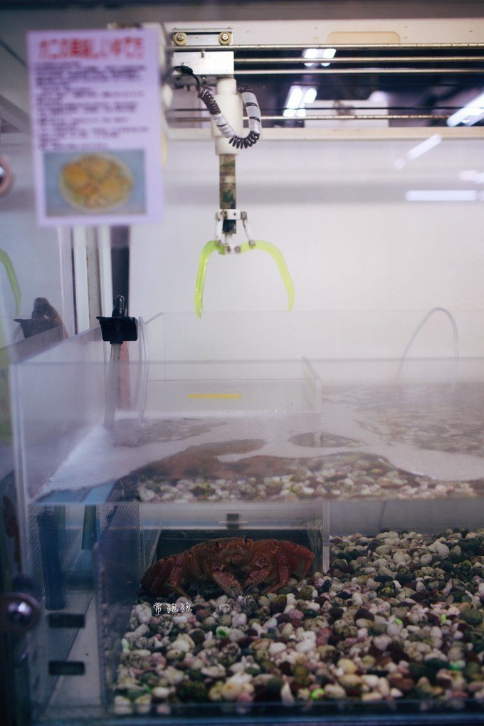 港口风情街美食,北海道美景旅游美食攻略