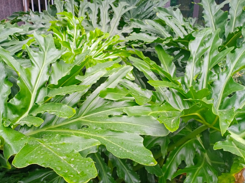 我的第一块智能手表,我的第一块运动手表